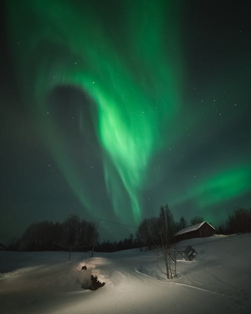 Free Aurora Borealis on Sky at Night Stock Photo