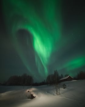 Stunning aurora borealis illuminating a snowy landscape in Troms og Finnmark, Norway.