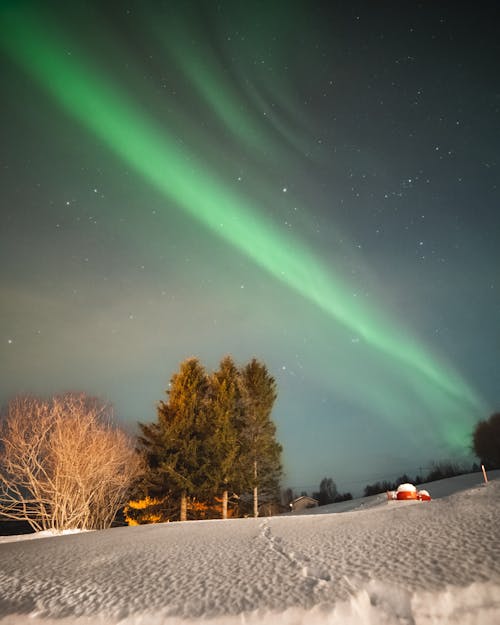 Free Fotos de stock gratuitas de arboles, Aurora boreal, belleza en la naturaleza Stock Photo