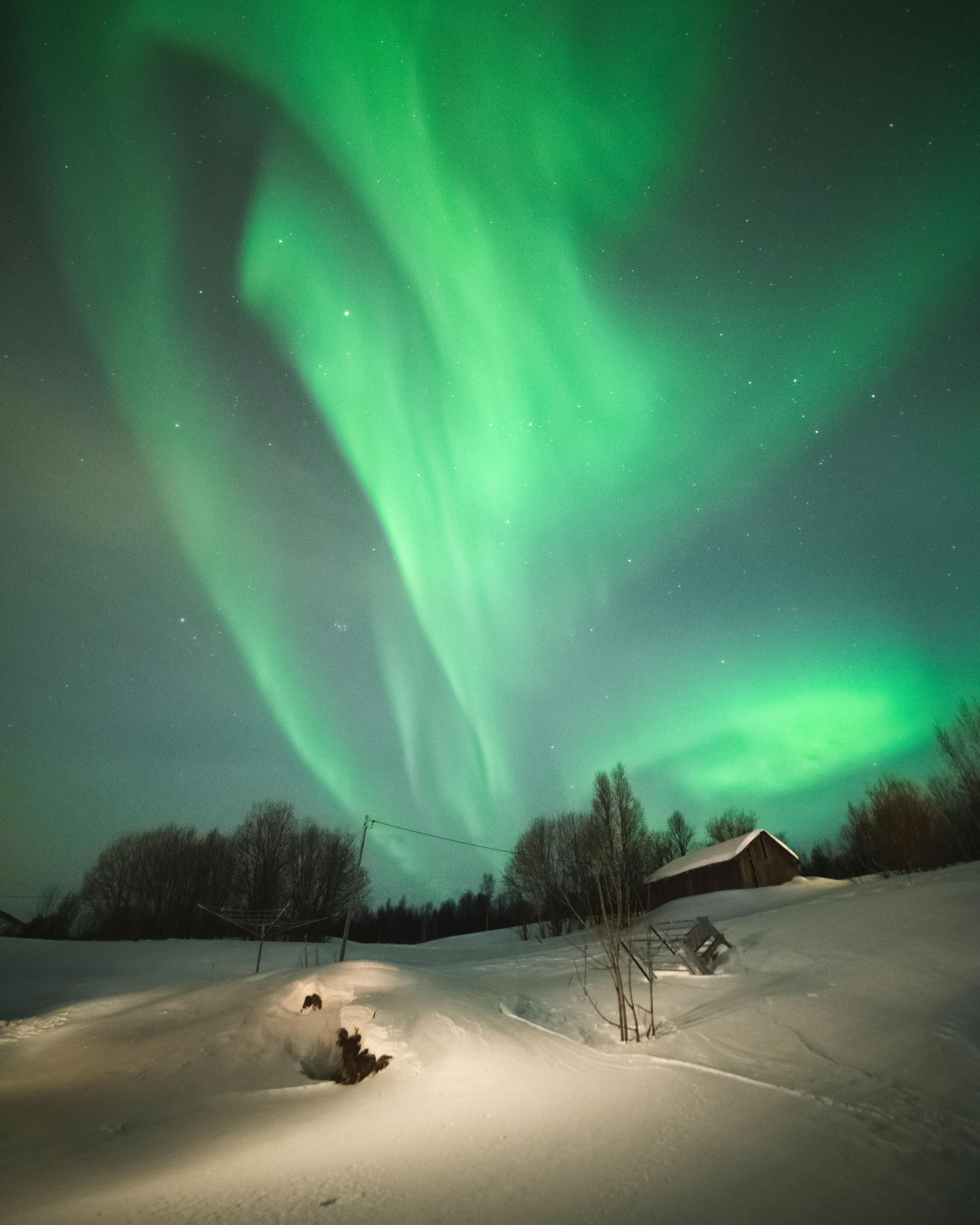 Breathtaking view of the Northern Lights over a snowy field in Troms og Finnmark, Norway.