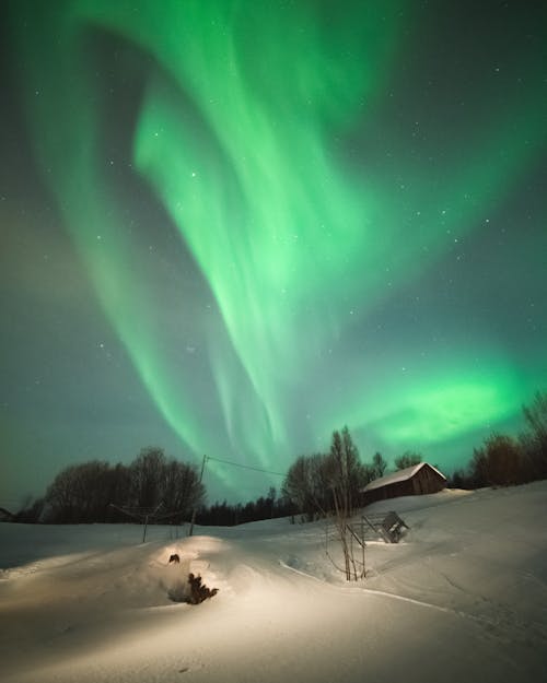 Free Aurora Borealis on Sky at Night Stock Photo