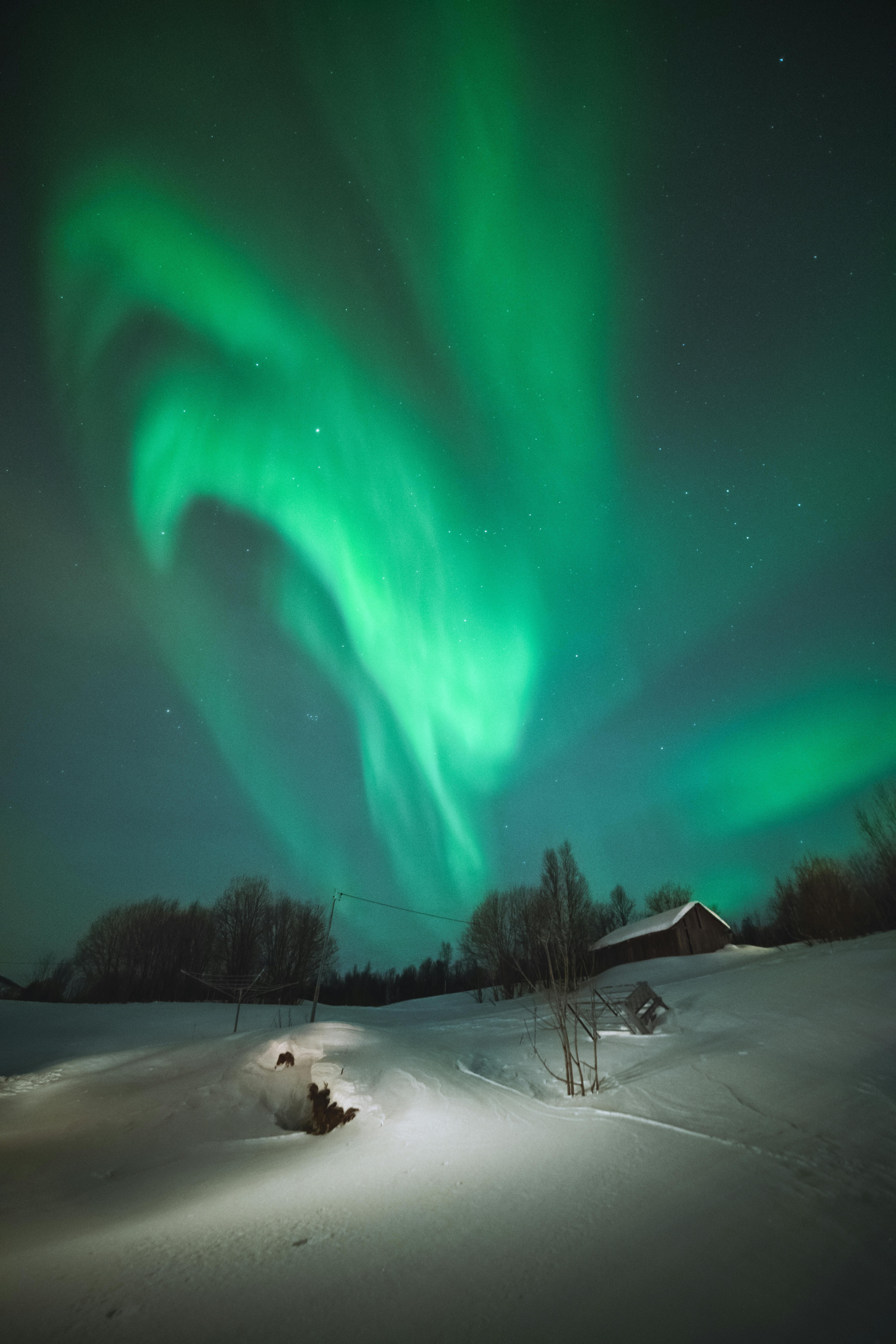 Captivating view of Northern Lights over snow-covered scenery in Troms og Finnmark.