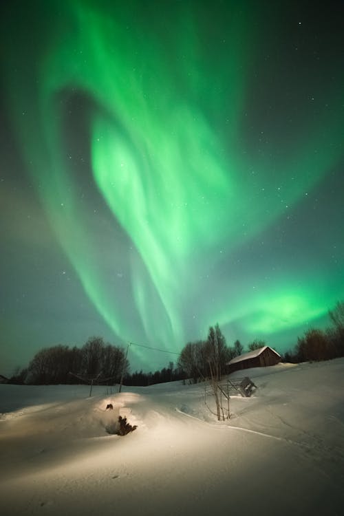 Free Gratis lagerfoto af aurora borealis, himmel, lodret skud Stock Photo