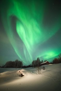 Breathtaking view of the Northern Lights over a snow-covered landscape in Troms og Finnmark, Norway.