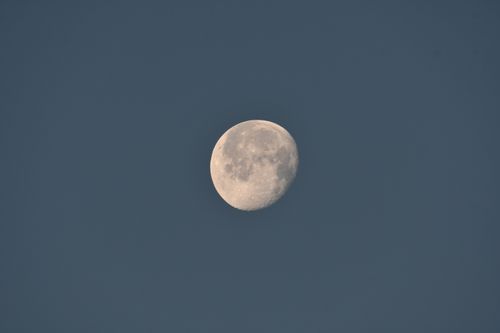 Free A bright moon captured against a clear night sky, perfect for use as a serene wallpaper. Stock Photo
