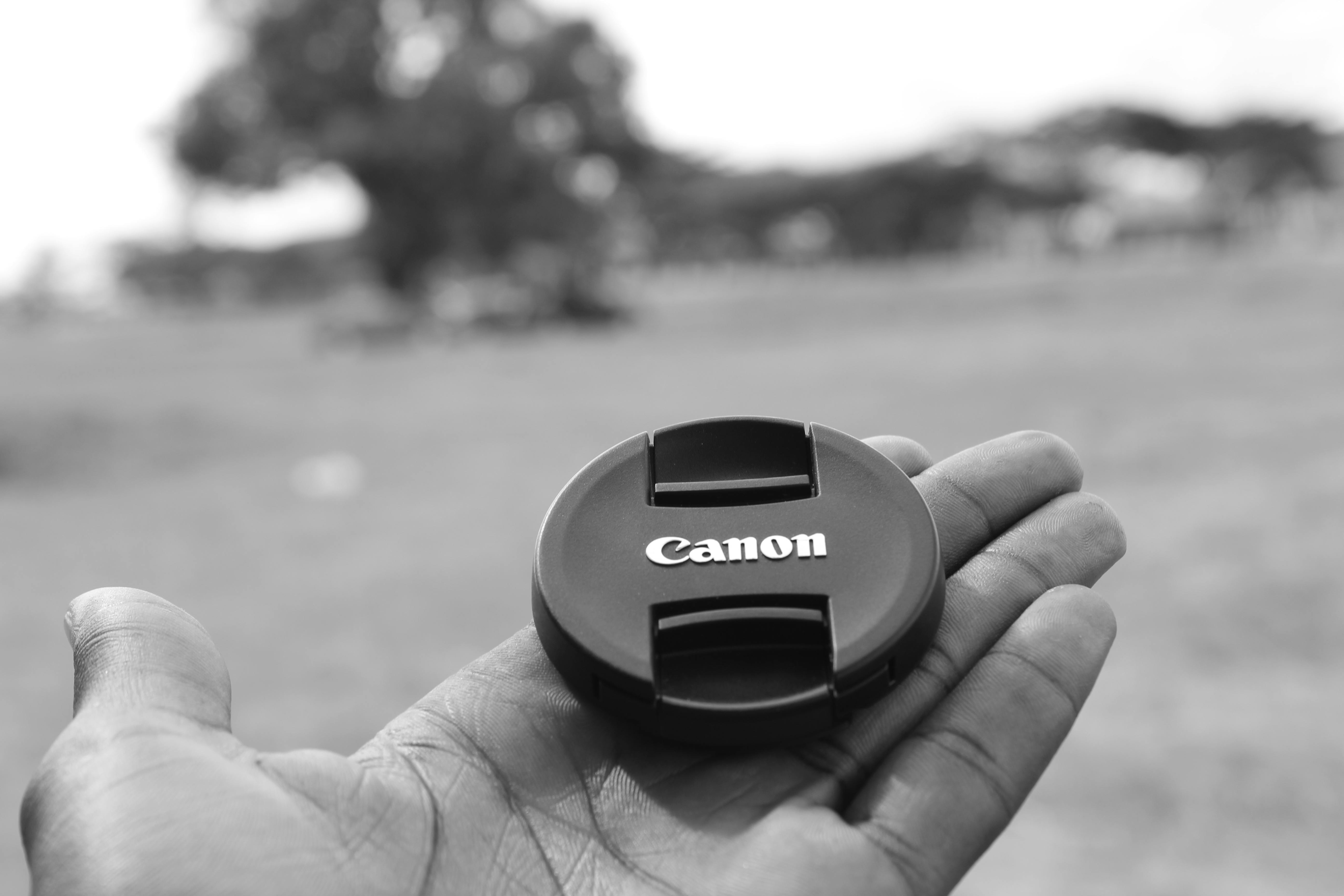 Free stock photo of canon