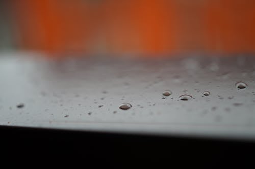 Základová fotografie zdarma na téma bubliny, dešťové kapky, detail