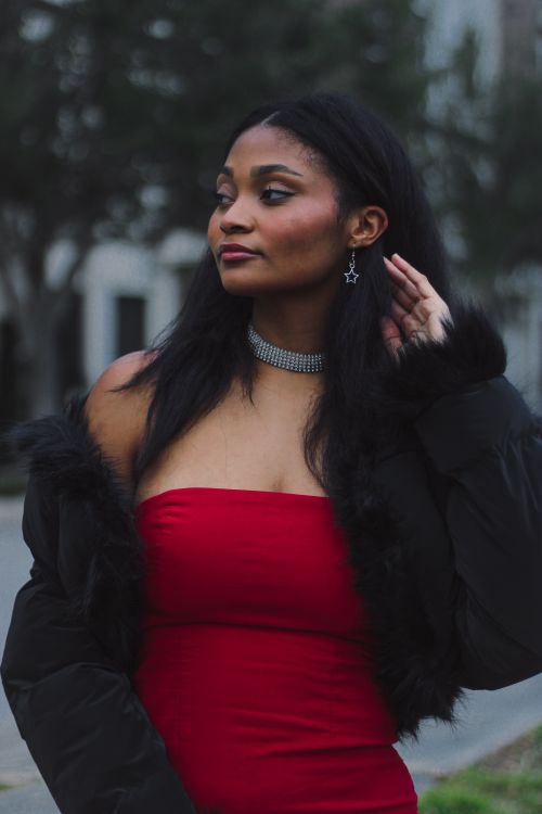Woman in Black Fur Jacket and Red Tube Top Free Stock Photo Woman in Black Fur Jacket and Red Tube Top Free Stock Photo