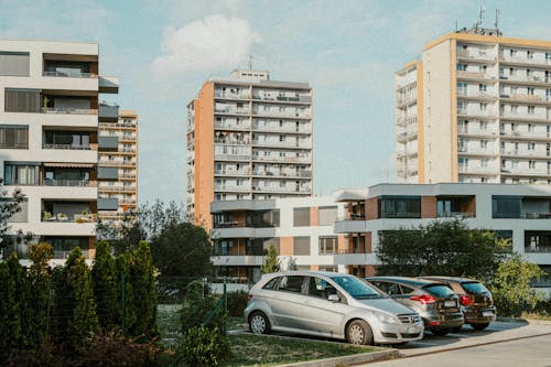 Immagine gratuita di alberi, auto, città