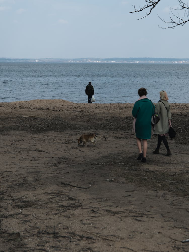 People And Dog On Beach