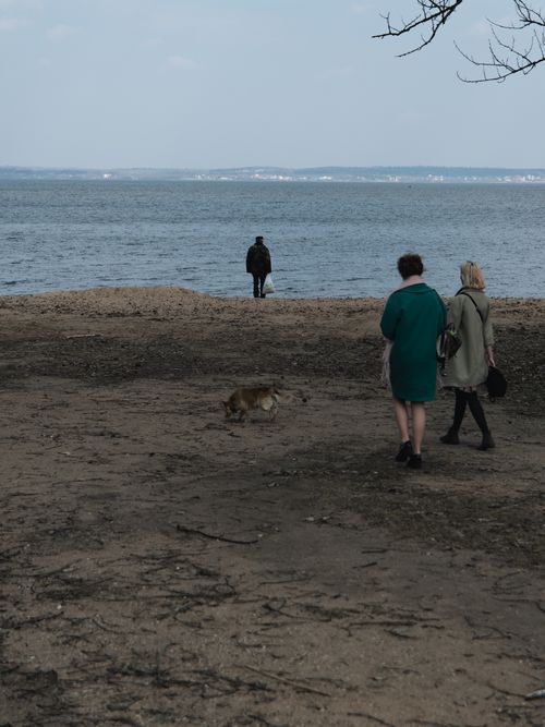 Free Two people and a dog walk along a serene beach with a scenic ocean view. Stock Photo
