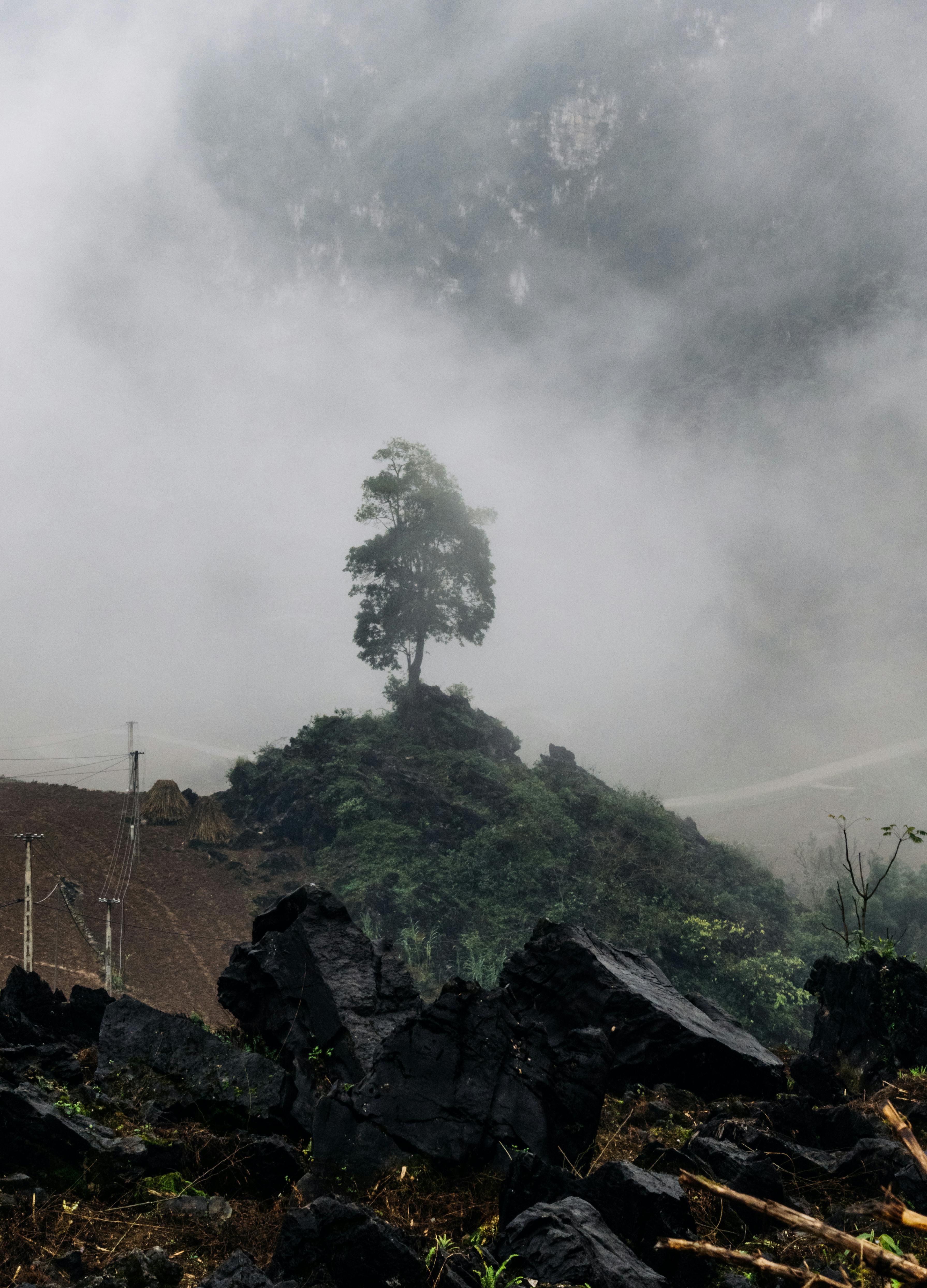 Miễn phí Ảnh lưu trữ miễn phí về @ngoài trời, bố cục dọc, buồn rầu Ảnh lưu trữ