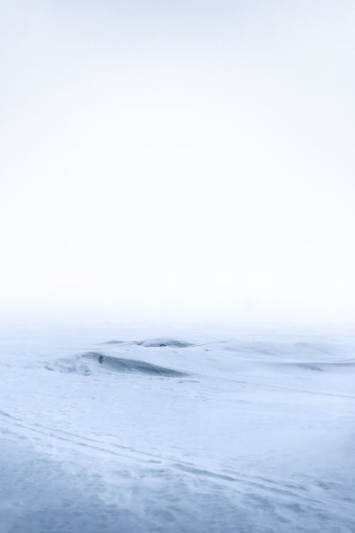 Photos gratuites de blanc, ciel, couvert de neige