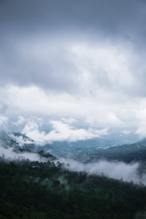 구름, 나무, 드론으로 찍은 사진의 무료 스톡 사진