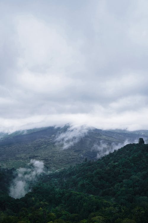 An Aerial Photography of Green Trees on Mountain Under the Cloudy Sky