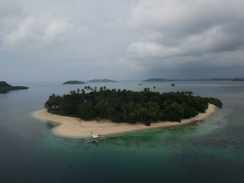 Free Drone Shot of an Island with Trees Stock Photo