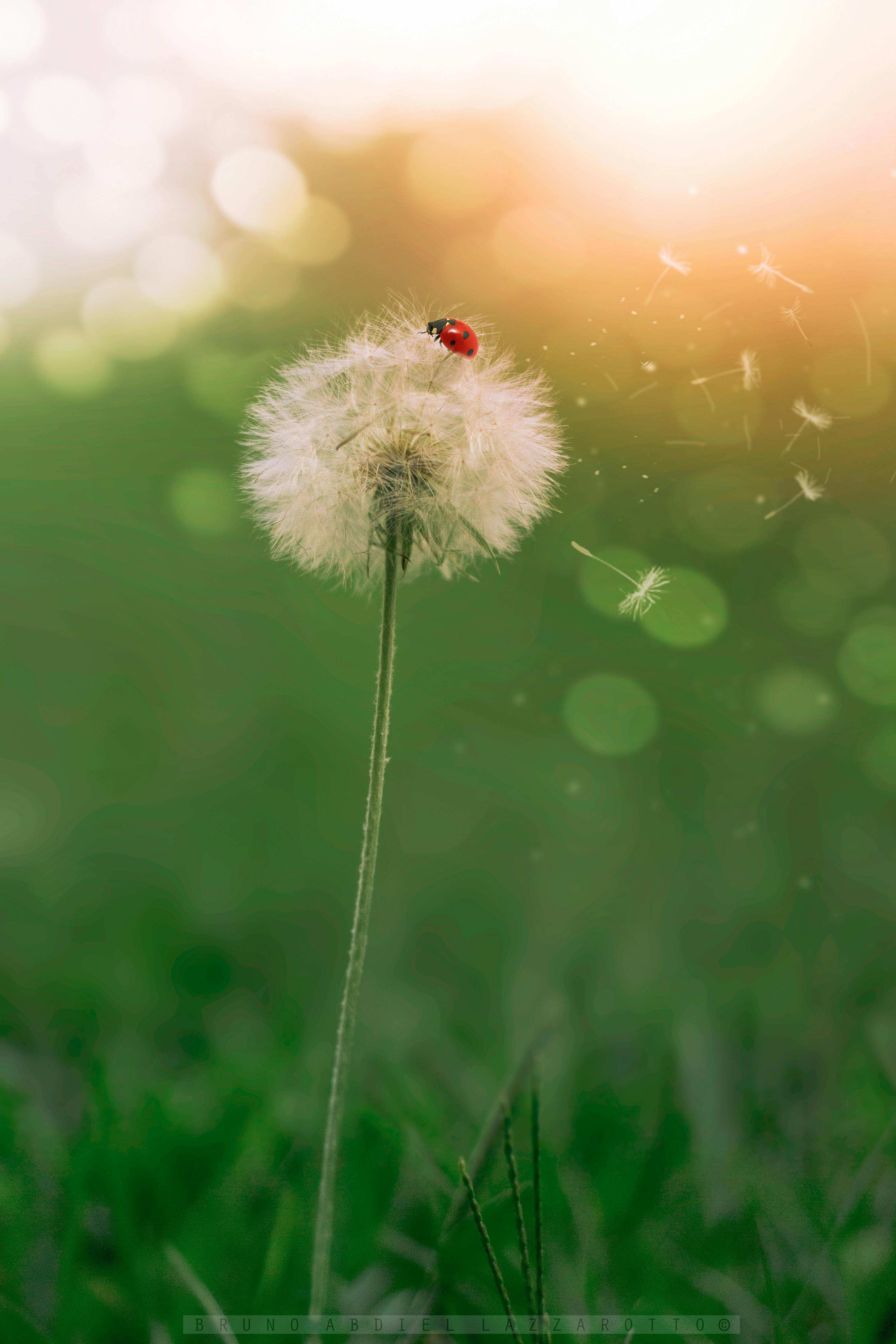 Close-up logo Erigo pada celana