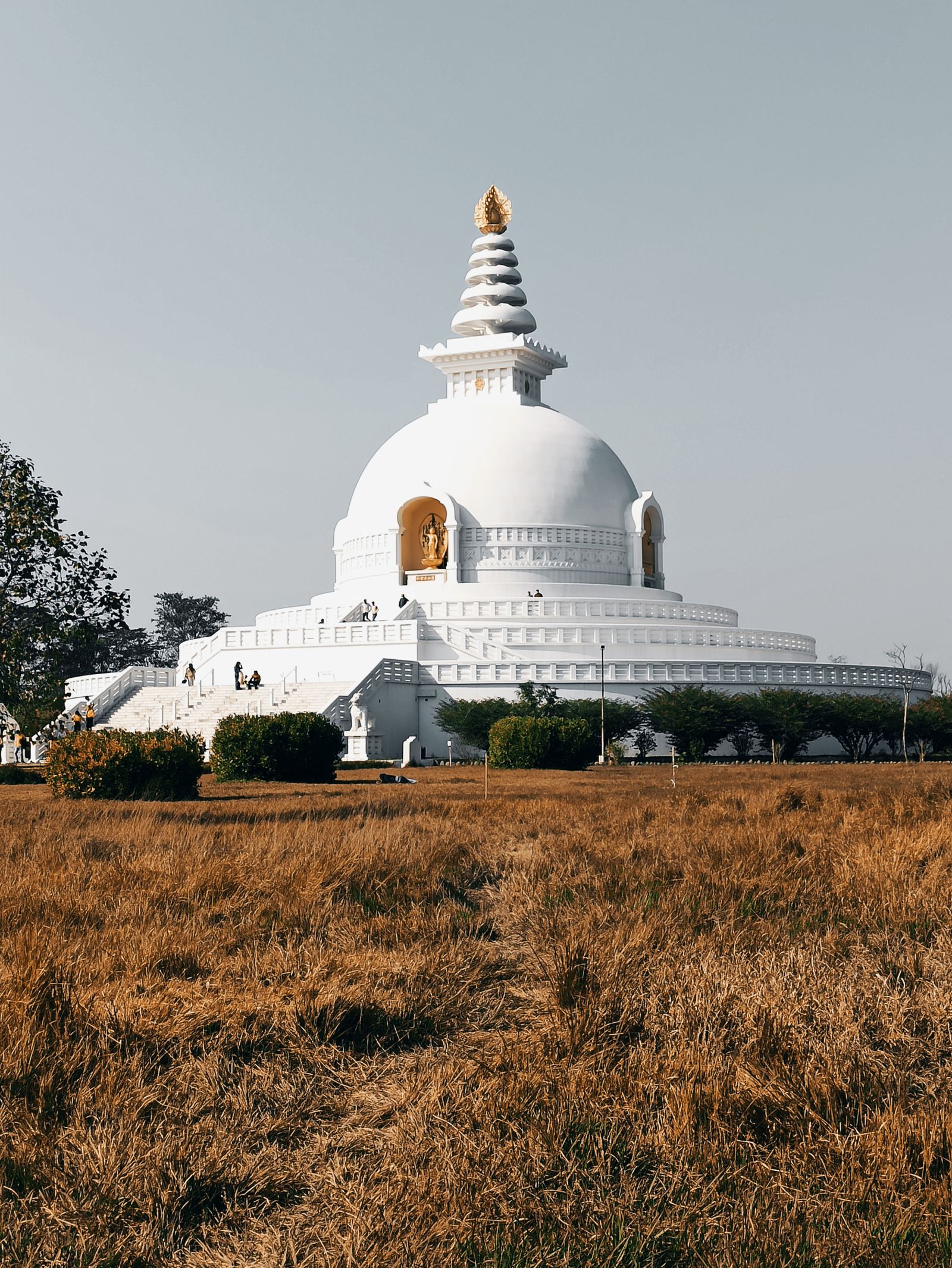 The white dome and gilded Buddha niche of the World Peace Pagoda at Lumbini, rising above dry golden grass