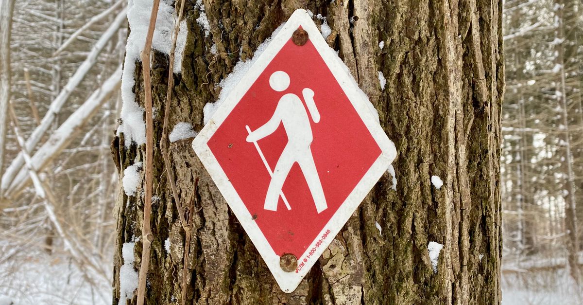 Little Tree Sign Sign on Tree · Free Stock Photo