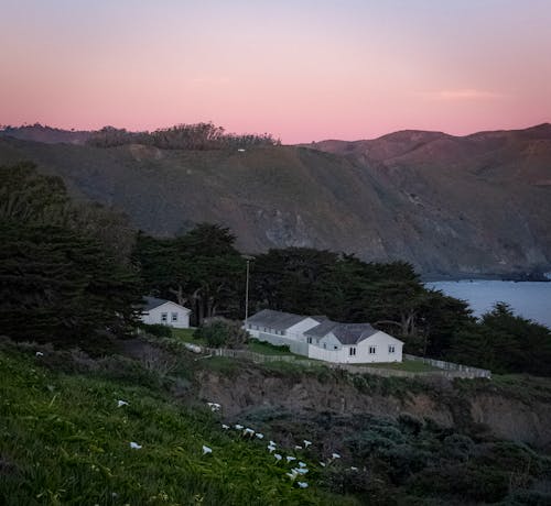 Houses on Hill Among Trees