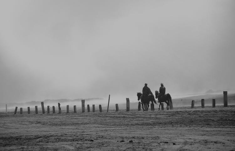 Man Riding Horses On A Beach