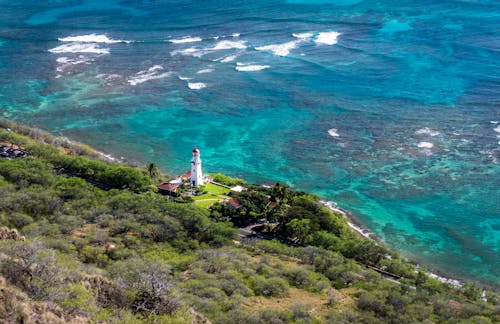 Aerial Photo of White Lighthouse Near Beach and Trees