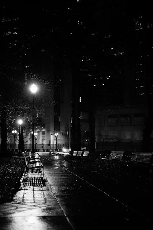 Grayscale Photo of Street Lights on a Street