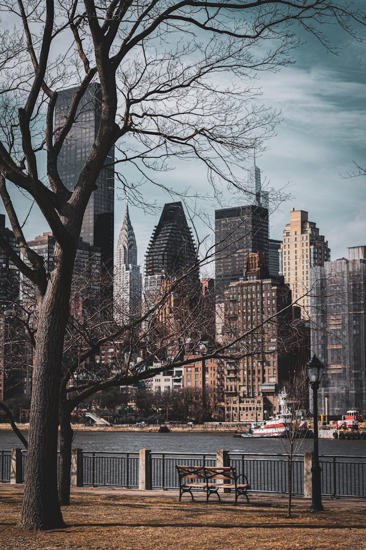 Roosevelt Island, New York View