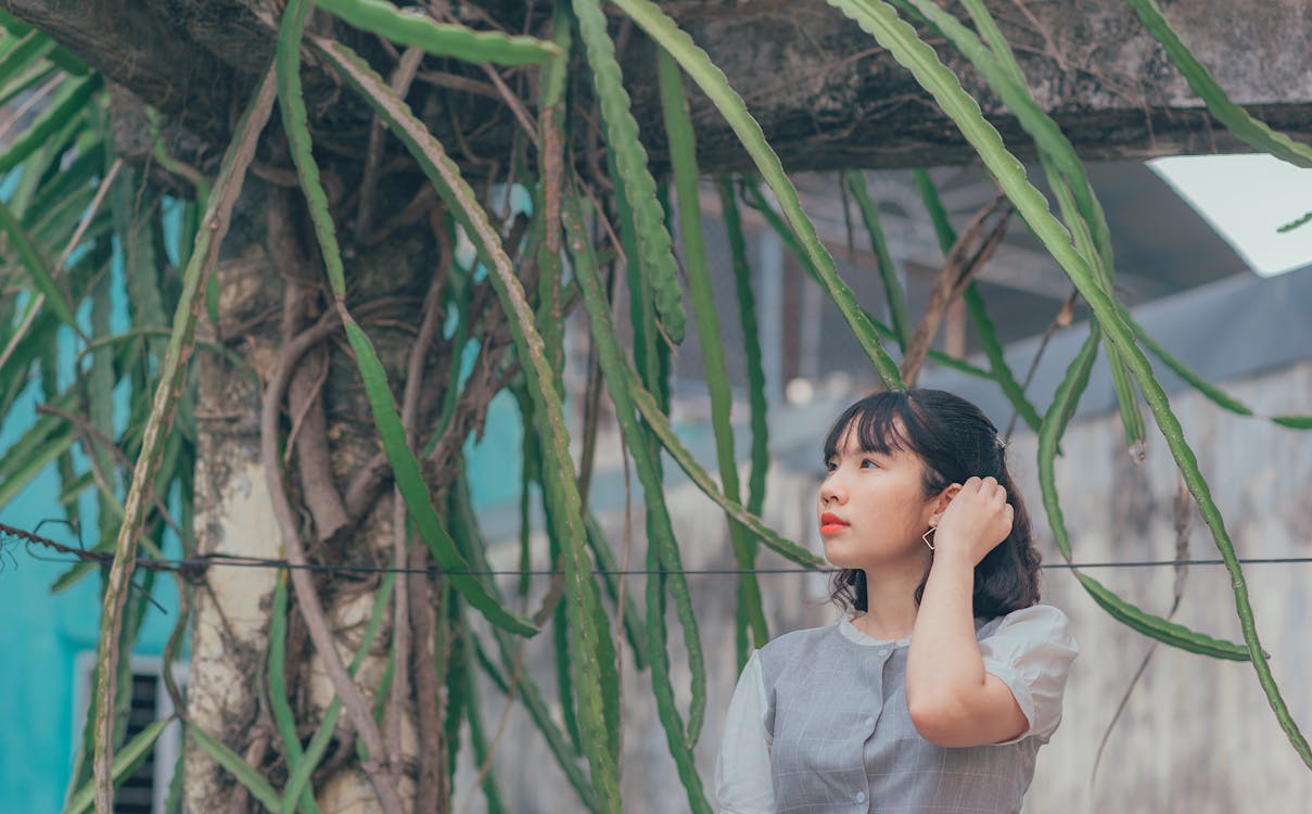 Free Woman Standing Near of Green Tree Stock Photo