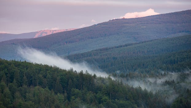 Serene view of misty mountain forests at twilight, with soft hues and scenic beauty.