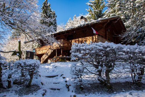 Free Cozy wooden chalet surrounded by snow-covered trees during winter's day. Stock Photo