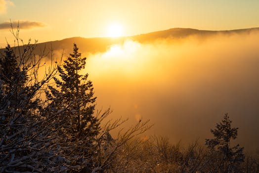 Serene mountain sunset with golden mist and snow-covered trees.