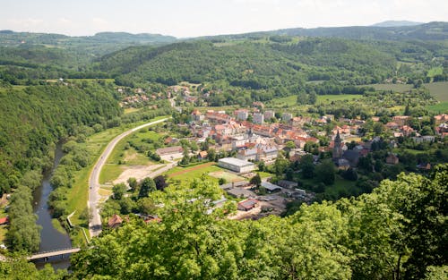 Immagine gratuita di alberi, case, città