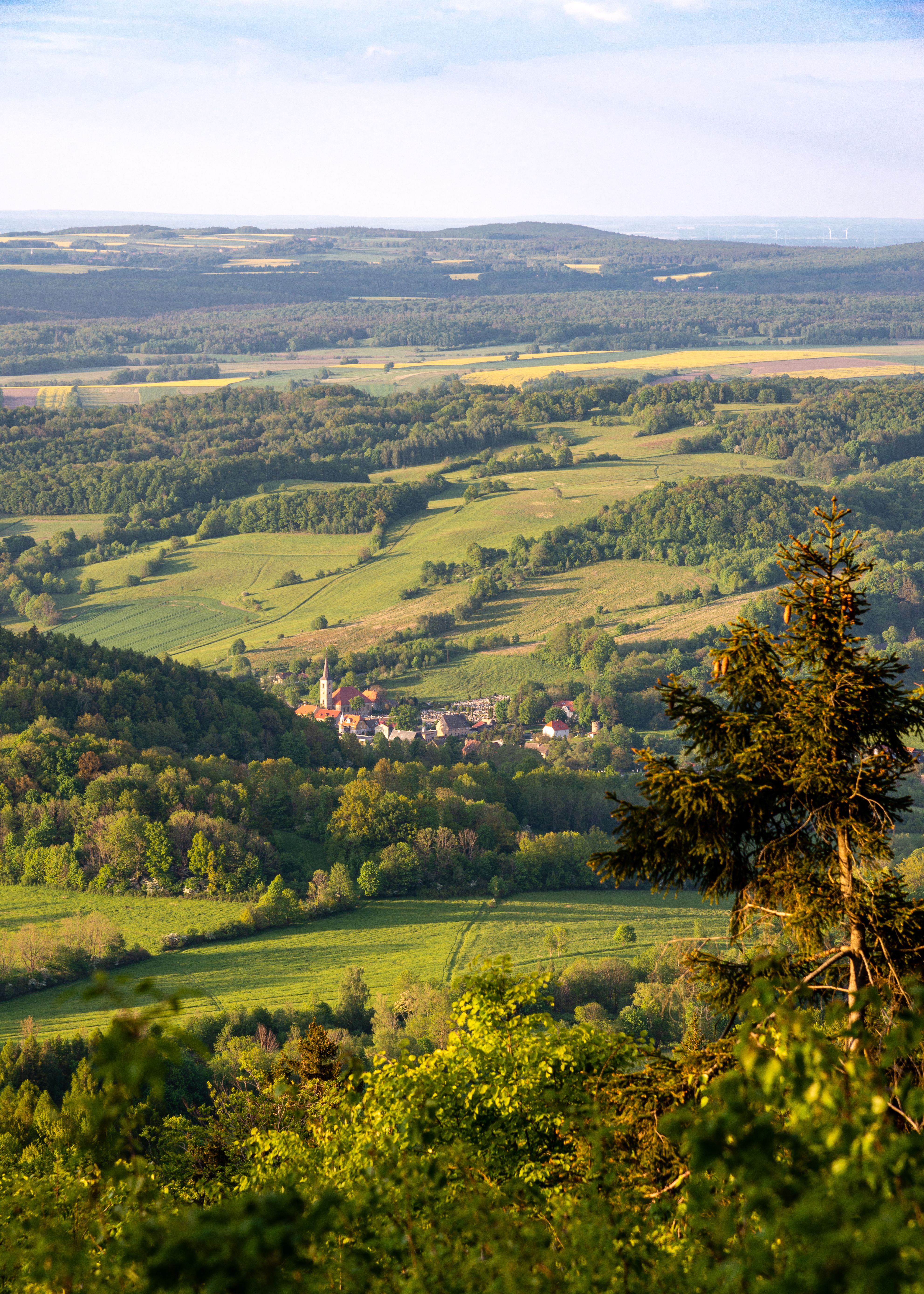 An Aerial Photography of Green Trees on Green Grass Field · Free Stock ...