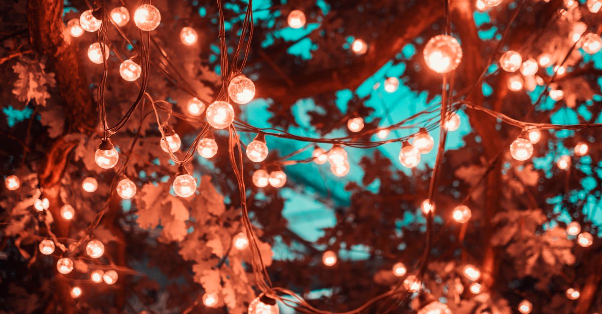 Magical scene with glowing string lights hanging in trees, perfect for festive occasions.
