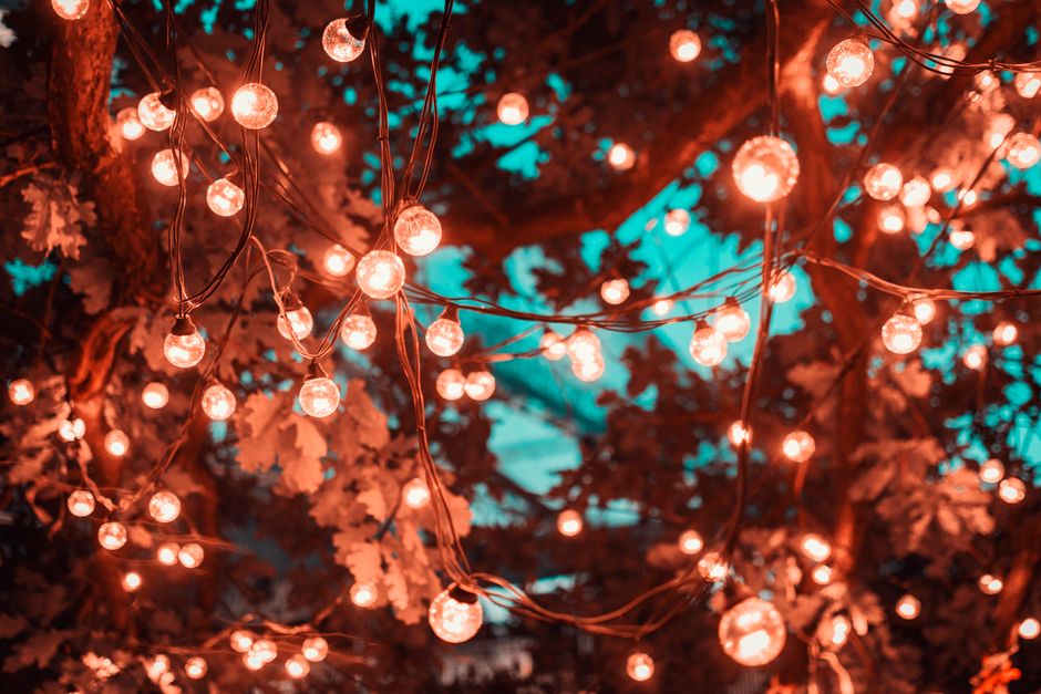 String lights hanging in a backyard - exterior home lighting