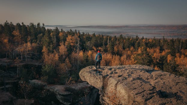 A man in a blue jacket explores the edge of a rock cliff with a panoramic view of an autumn forest.
