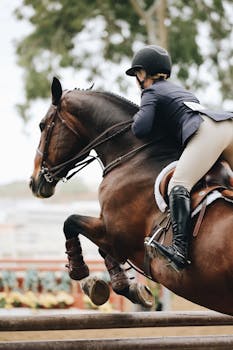 Photography of Person Riding Brown Horse