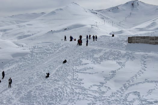 People enjoying a snowy mountain slope with sledding and scenic winter views.