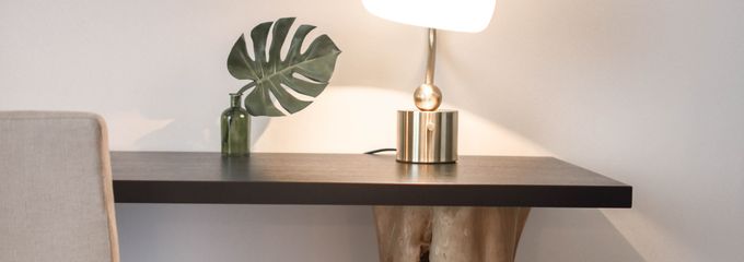 Indoor plant decor living room