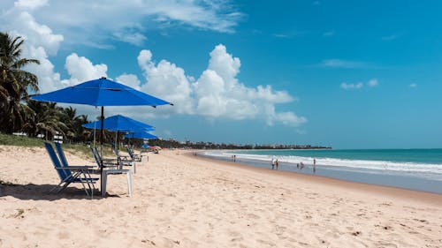 Blue Beach Umbrellas with Chairs on the Shore