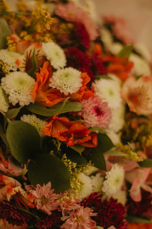 Bouquet of Colorful Flowers