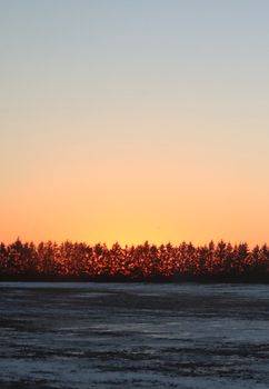 Capture of a serene sunset over a snowy forest, creating a gradient sky with silhouetted trees.