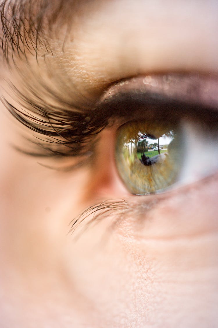 Reflection In Woman Eye