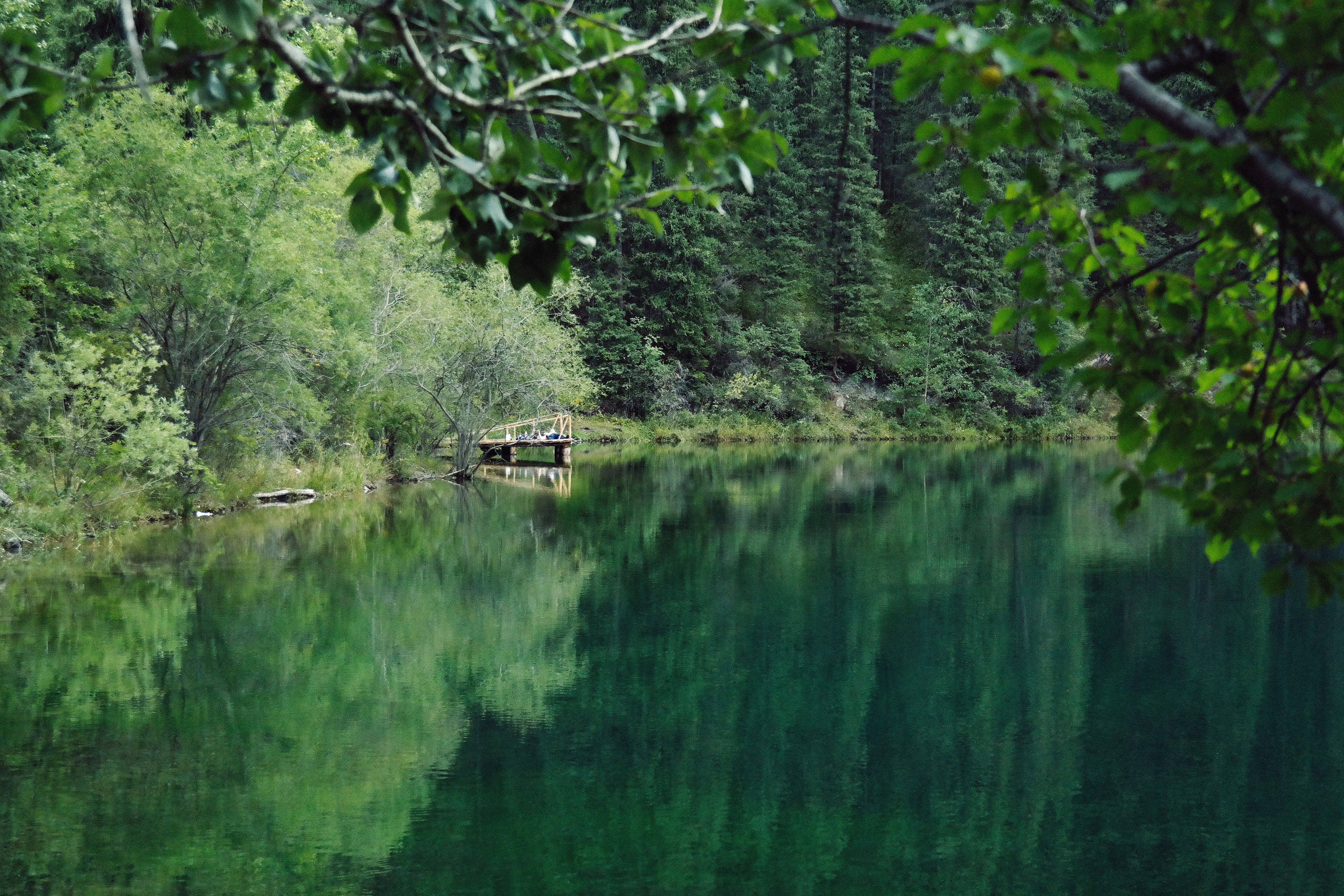 Serene mountain lake surrounded by lush forest