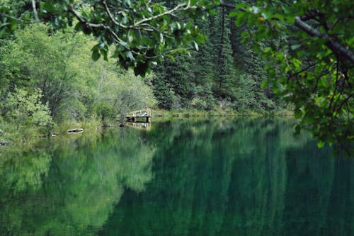 Základová fotografie zdarma na téma jezero, klidná voda, malebný