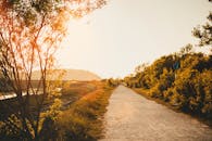 威尔士乡村宁静的小路上沐浴着金色的阳光，非常适合探索