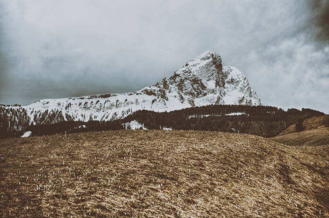 Montagne Remplie De Neige