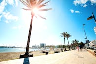 阳光明媚的一天，海滨长廊两旁种着棕榈树，非常适合夏季漫步