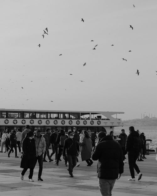 People Walking on the Concrete Pavement by the Boat Dock